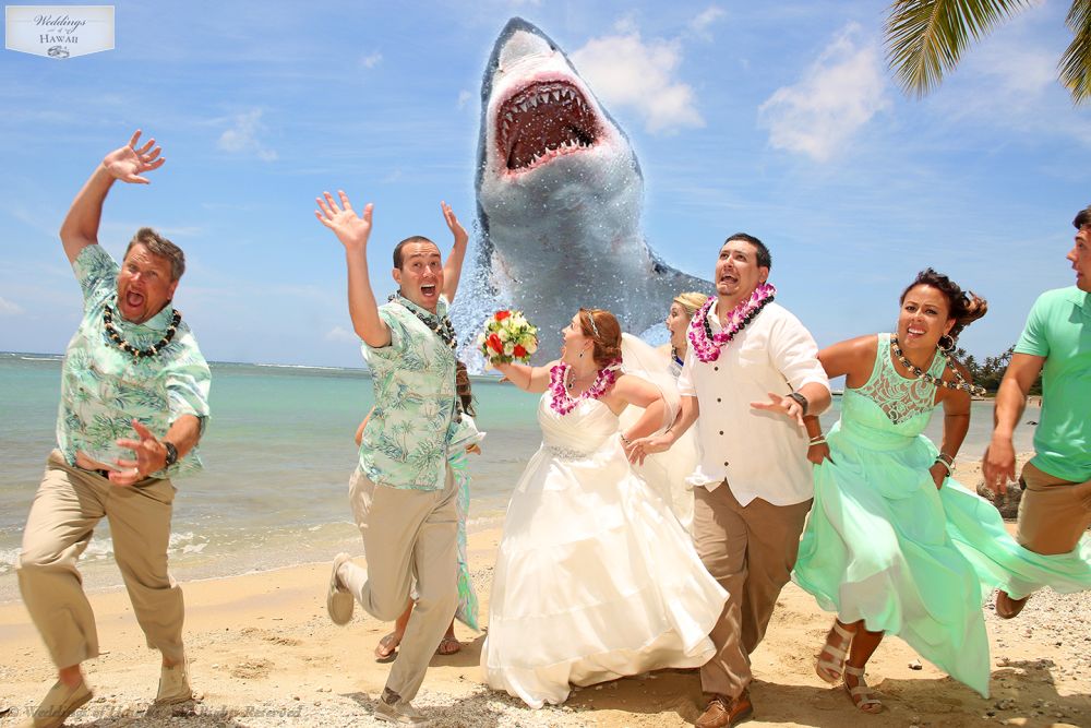 hawaii_wedding_photo.jpg