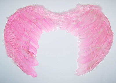 Крылья перьевые розовые 55х40