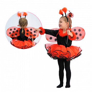 «Carnival Costumes»