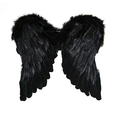 Крила Амура чорні  65х55 см