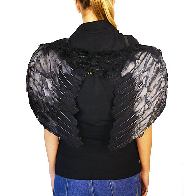 Крылья черные ангела 50х40