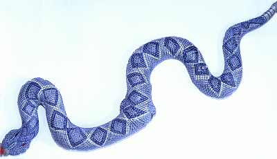 Змея надувная