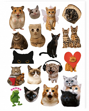  - фото 1 | 4Party