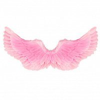 Крила ангела рожеві 70х35 Крила ангела рожеві 70х35