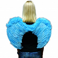 Крылья ангела голубые 60х40