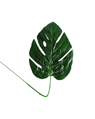 Тропический лист (монстеры) 20 см