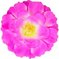 Заколка цветок пиона (розово-белый) Заколка цветок пиона (розово-белый)