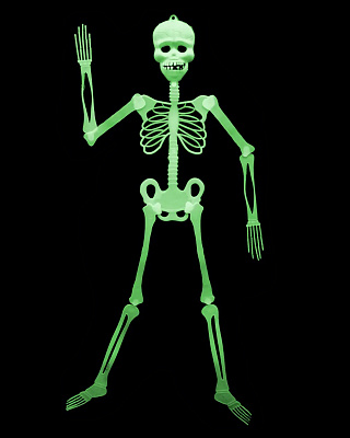 Скелет фосфорний 87 см