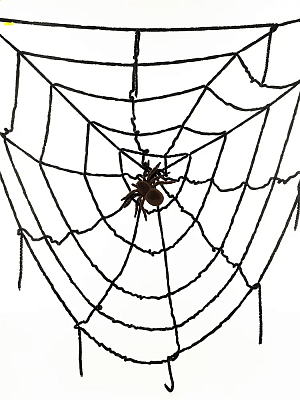 Паутина черная с коричневым пауком