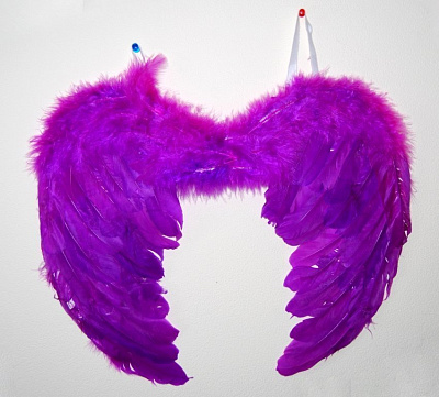Крылья перьевые фиолетовые 45х35