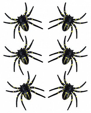  - фото 1 | 4Party