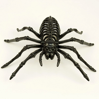 Сяючий павук чорний 