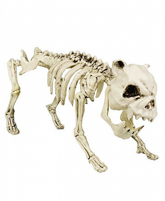 Собака-скелет пластик 42х22