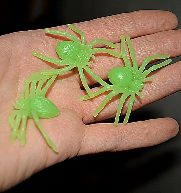 - фото 2  - фото 2 | 4Party