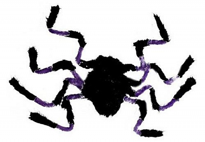 Павук величезний фіолетовий