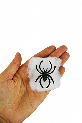Набір міні-павутин з павуком 15 од