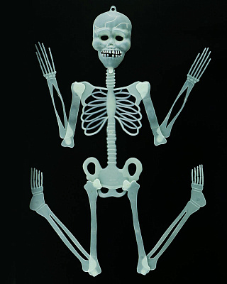 Скелет фосфорный 87см
