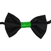 Метелик чорно-зелений