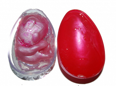 Эмбрион в яйце