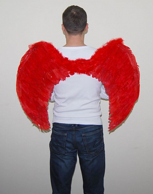 Крила червоні 75х50 см