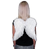 Крылья Амура белые 45х45