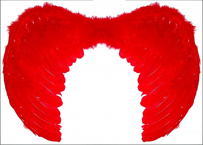 Крила червоні 80х60 см