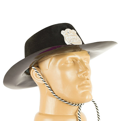 Шляпа Полиция (пластик)
