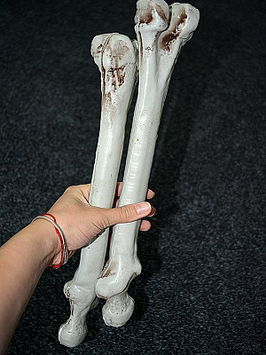 Человеческие кости