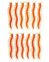 Набор сколопендр оранжевых 12 шт Набор сколопендр оранжевых 12 шт