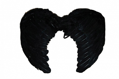 Крылья ангела черные 40х30