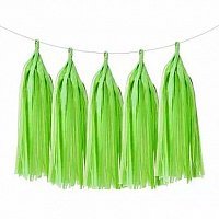 Гірлянда Тассел салатова 5 од