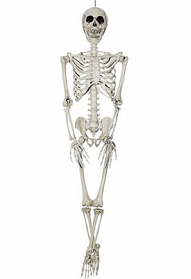 Декор Скелет 150 см підвісний