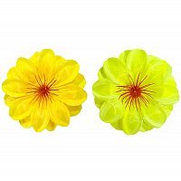 Шпилька квітка гібіскуса (жовта) Шпилька квітка гібіскуса (жовта)