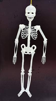 Скелет сяючий