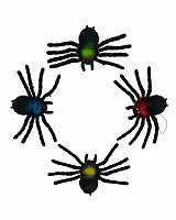 Павук великий кольоровий