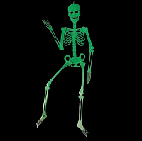 Свята |Декорации на Хэллоуин|Скелети|Скелет фосфорний величезний
