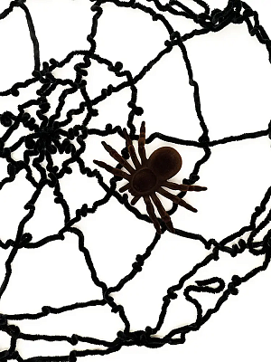 Паутина черная с коричневым пауком
