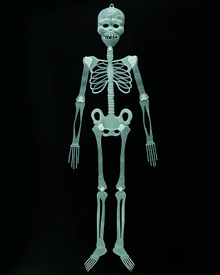 Скелет фосфорний 87 см
