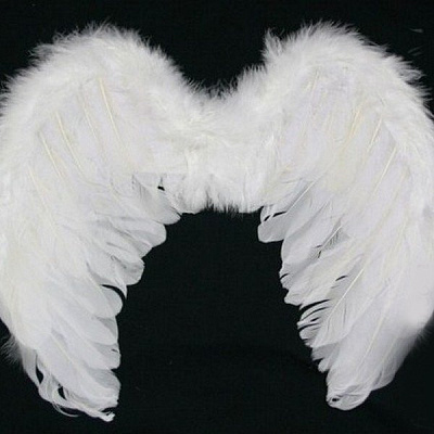 Крылья ангела белые 40х30