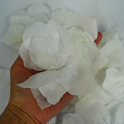 Пелюстки троянд білі