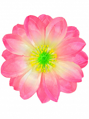 Заколка цветок гибискуса (бело-розовый)