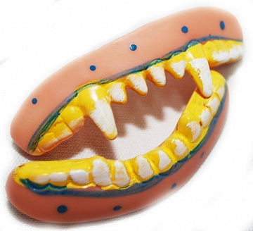 Зубы вампира желтые - фото 1 | 4Party