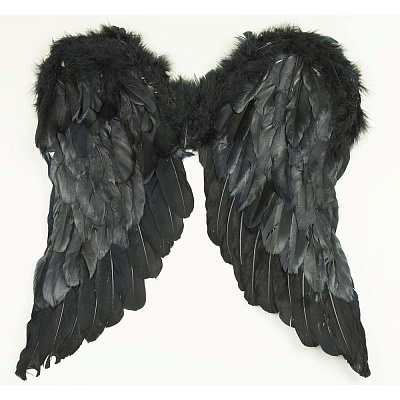 Крила Амура чорні 45х45 см