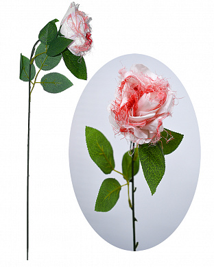  - фото 1 | 4Party