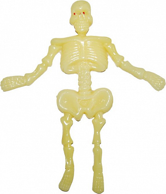 Скелет лизун