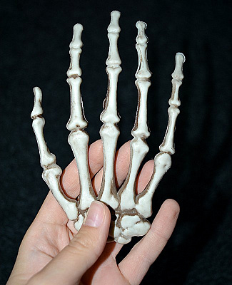 Человеческие кости