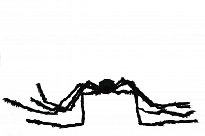Павук величезний чорний 2 м
