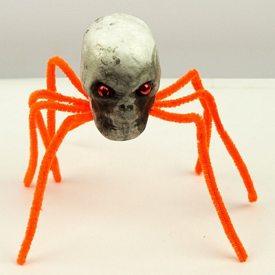 Павук-череп помаранчевий