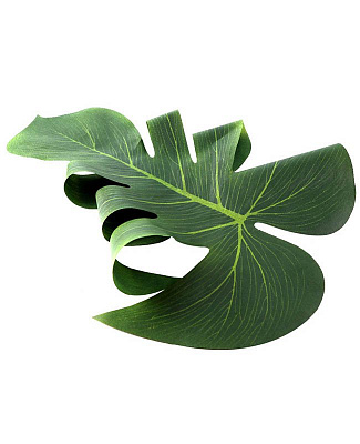 Тропический лист (монстеры) 35 см