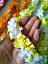 Леи гавайские двухцветные - фото 2 | 4Party